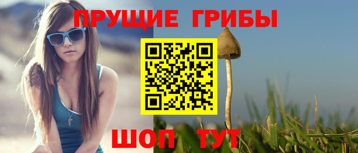Орёл  Галлюциногенные грибы ЛСД  Псилоцибиновые грибы Cubensis  Вход с VPN 